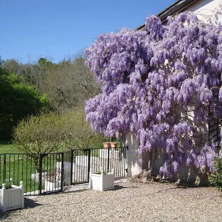 Bois De Cadene Saint-Pierre-de-Buzet