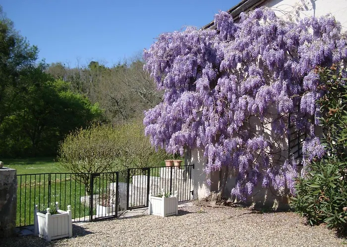 Bois De Cadene Saint-Pierre-de-Buzet