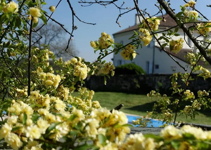 Bed & Breakfast Bois De Cadene